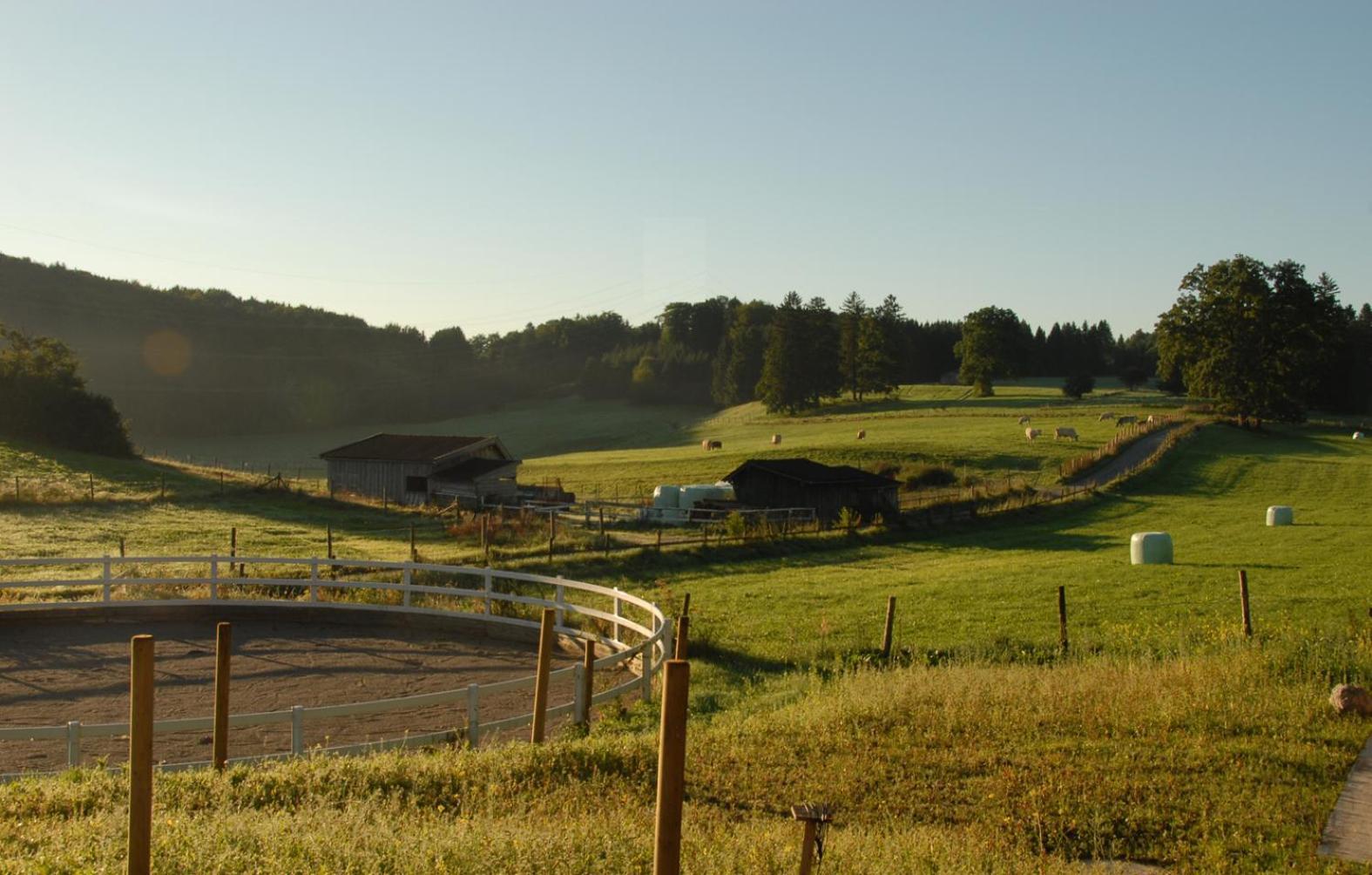 Zweilindenhof Hotel Seeshaupt Eksteriør billede