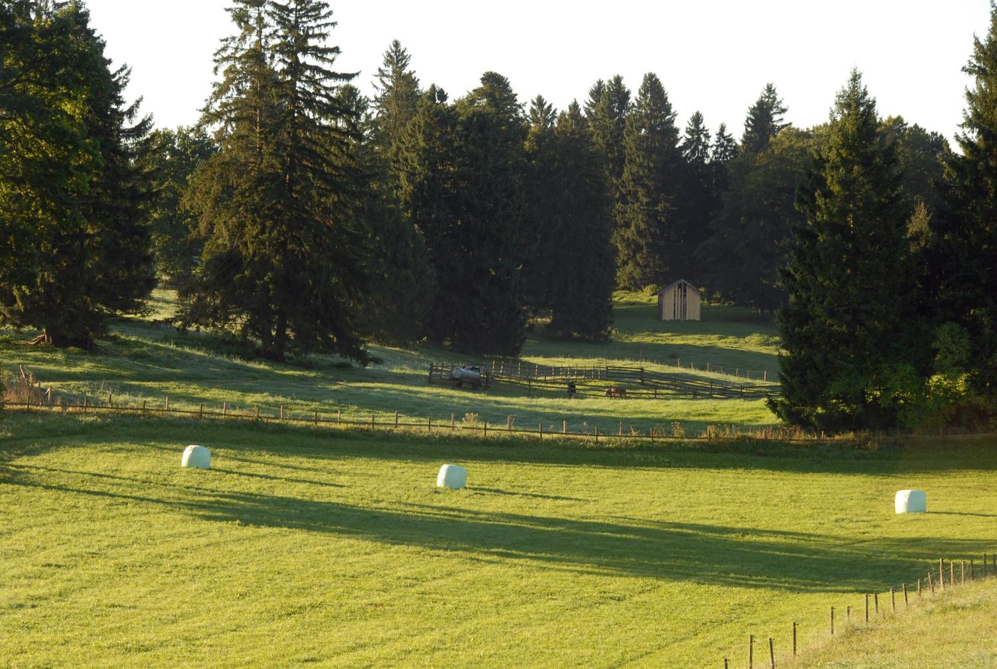 Zweilindenhof Hotel Seeshaupt Eksteriør billede