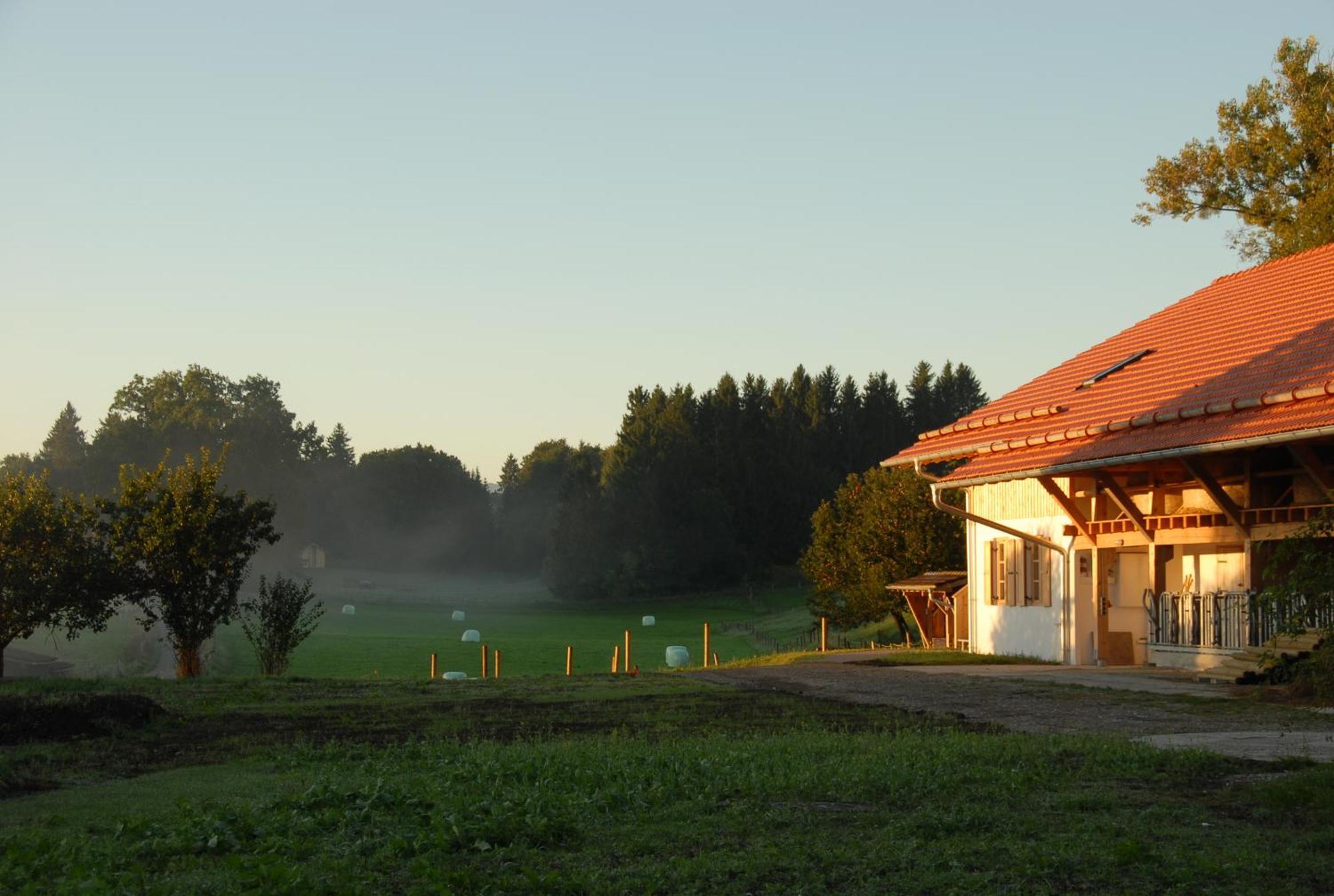 Zweilindenhof Hotel Seeshaupt Eksteriør billede