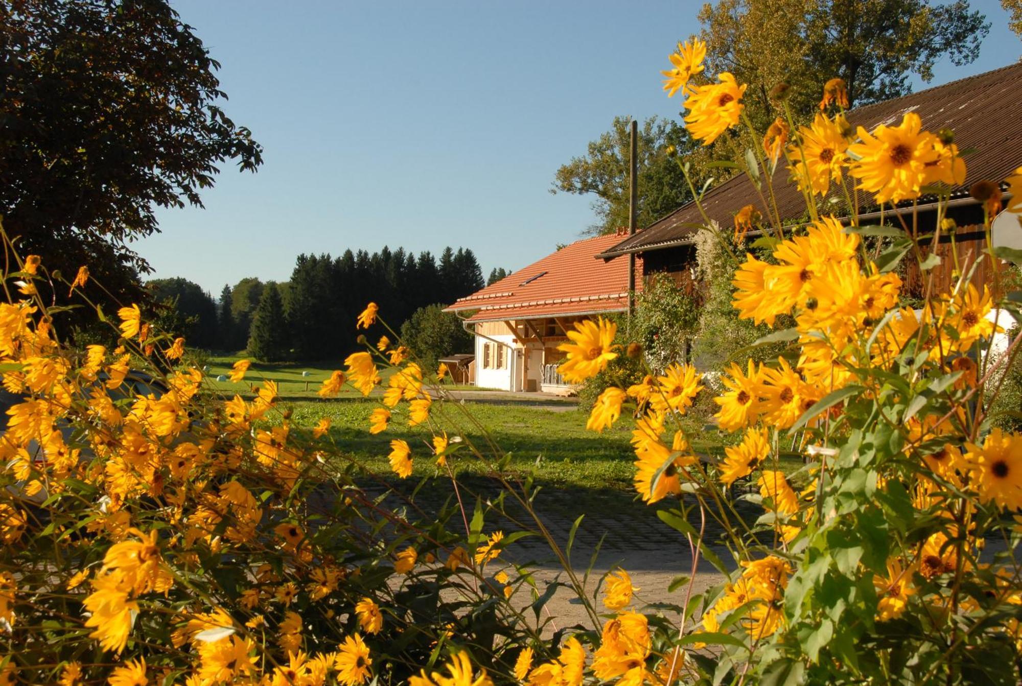 Zweilindenhof Hotel Seeshaupt Eksteriør billede